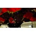 Daemon X Machina (Switch), 224090, Шутеры